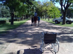 riabilitazione equestre