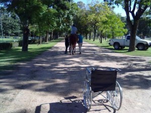 equitazione per disabili